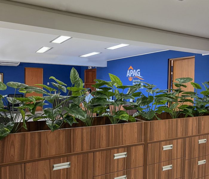 Remodelación Oficina APAG
